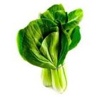 Picture of Bok Choi Baby per bunch