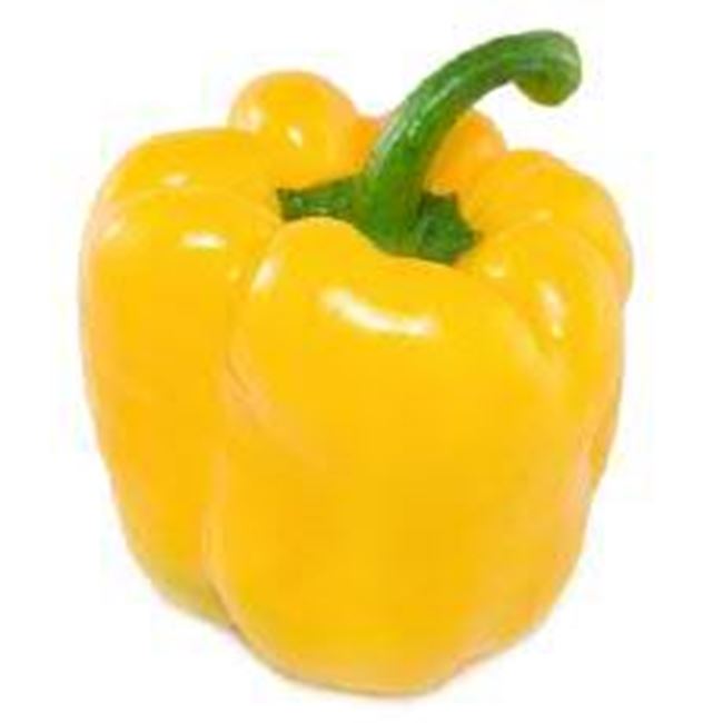 Picture of Capsicum Hydroponic Yellow each