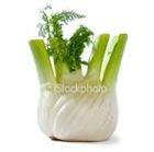 Picture of Fennel per bunch