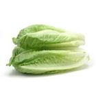 Picture of Lettuce Cos each