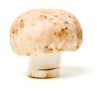 Picture of Mushroom, Swiss Brown per 100g (approx 4)