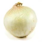 Picture of Onions White salad (each)