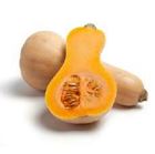 Picture of Pumpkin Butternut per whole