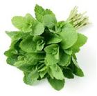 Picture of Mint per bunch