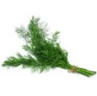 Picture of Dill per bunch