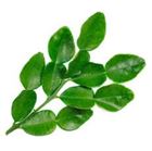 Picture of Kaffir Lime Leaves per 20gm