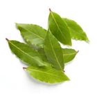 Picture of Bay Leaves per 15g