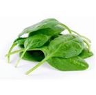 Picture of Spinach, Baby Organic  per pack (120g)
