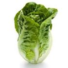 Picture of Lettuce Baby Cos each