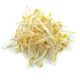 Picture of Bean Sprouts per bag (250g)