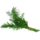 Picture of Dill per bunch