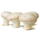 Picture of Mushroom, Buttons Organic per punnet (280g)