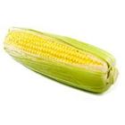 Picture of Corn Organic each
