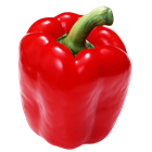 Picture of Capsicum Red each