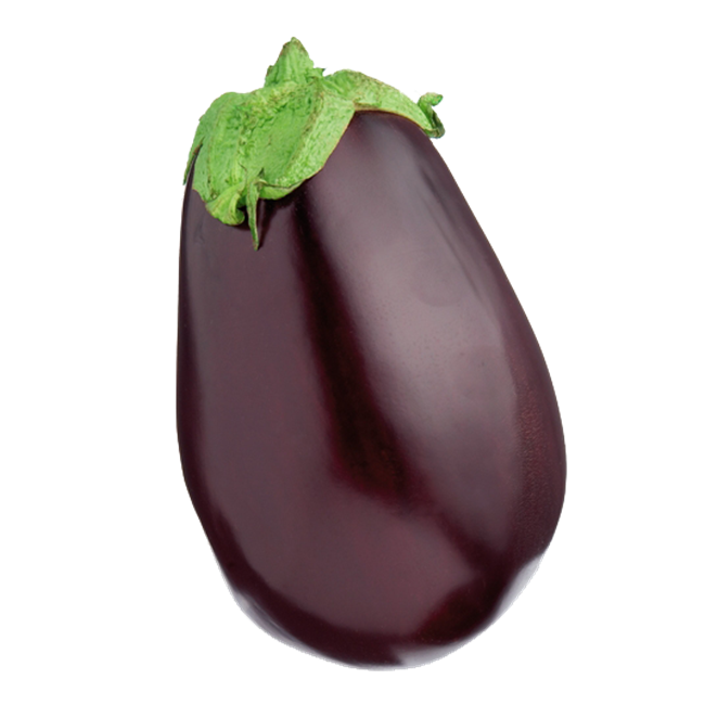 Picture of Eggplant Hydro each
