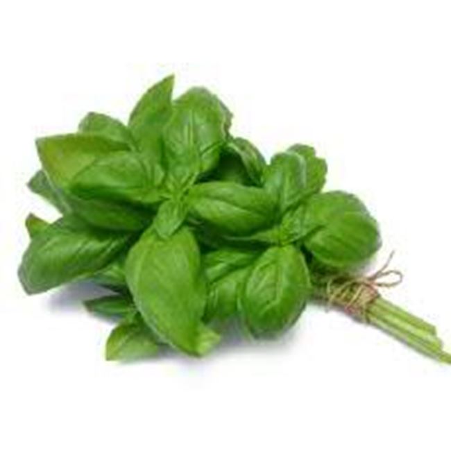 Picture of Basil per bunch (Thai)