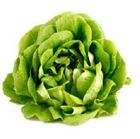 Picture of Lettuce Salanova each