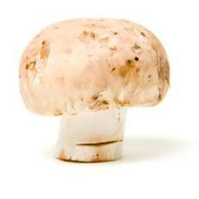 Picture of Mushroom, Swiss Brown per 100g (approx 4)