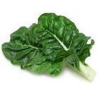 Picture of Silverbeet Bunch each