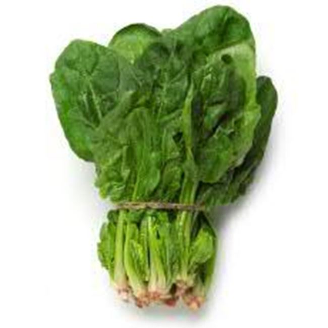 Picture of Spinach, English per bunch