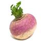 Picture of Turnip White each
