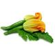 Picture of Zucchini Flowers each