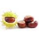 Picture of Chestnuts, Fresh per net (500g)