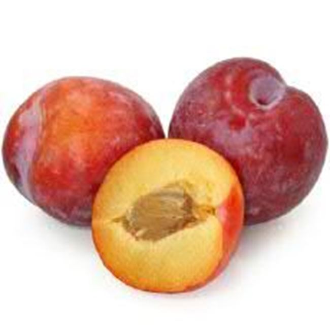 Picture of Plums Santa Rosa each