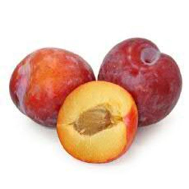 Picture of Plums Tegan Blue Large each