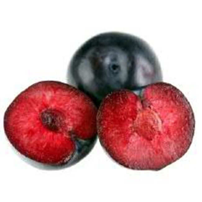 Picture of Plums Blood each