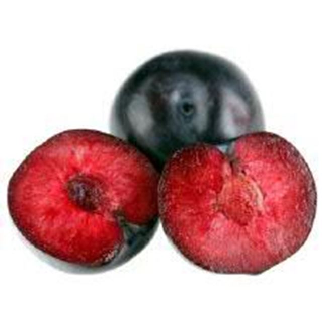 Picture of Plums Small each