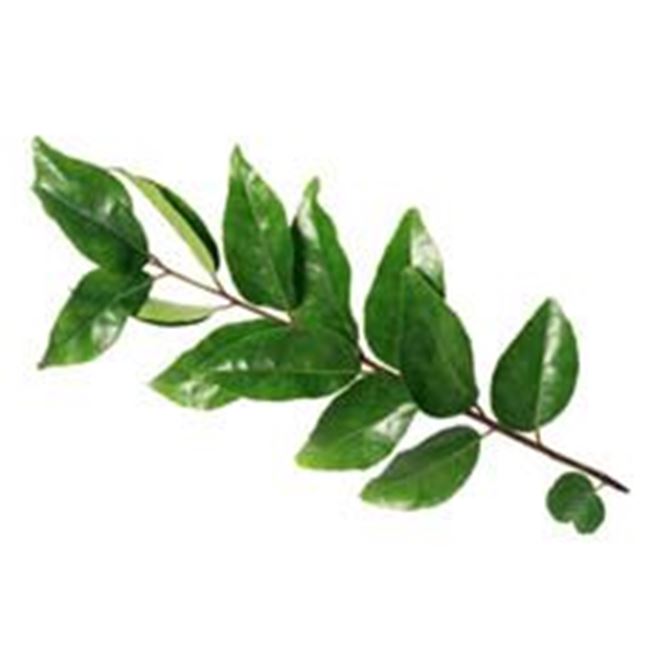 Picture of Curry Leaves per 15g
