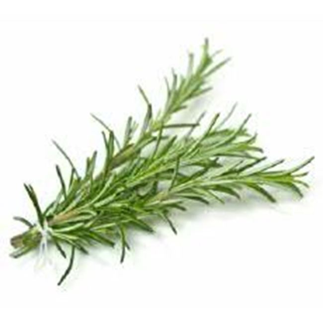 Picture of Rosemary per bunch