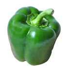 Picture of Capsicum Green each